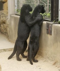 【お題日記】あなたにとってイイ男、イイ女の条件は？