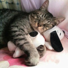 【お題日記】外国人とのセックスに興味ある？