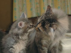 オモテと同じくちゅ♪