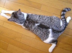 【お題日記】気絶しそうなぐらい気持ちよかったセックス