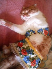 【お題日記】着衣vs全裸、どっちが好き？