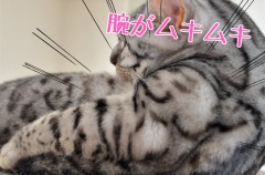 【お題日記】なにフェチ？