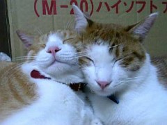 【お題日記】相手が斬新なテクを使ってきたらどう思う？