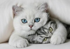 寒いですね～!!