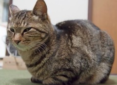 今日のお題にちょっと沿っちゃうかも?ｗ