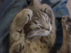 体調はまだ良くなってませーん！