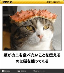 すっかり蟹食べたいモードｗ