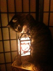 【お題日記】あなたのHへ持っていくテクニック