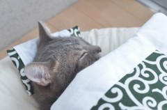 今日はよく寝ましたｗｗ