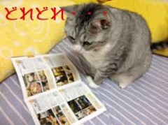 【お題日記】お気に入りのラブホテルはある？