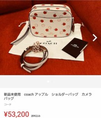 ちなみにクリスマスプレゼント