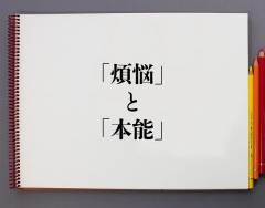 羨ましい友人のH話
