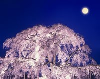 こんな夜も有る