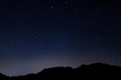 夜寂しいときどうする？