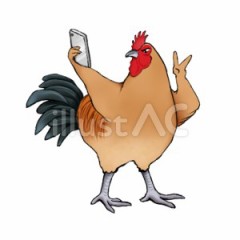 Hな地鶏りの経験は？