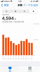 歩数で見る今年　【お題日記】今年の目標は達成できそう？
