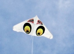 クリプレはゲイラカイト　【お題日記】今年のクリスマスはどう過ごされてますか？