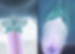 私は〇〇です！(〇〇は淫乱の字を入れてね)