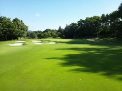 今日もゴルフだ！