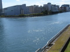 寝そびれた・・・