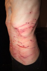 鞭跡（・∀・）