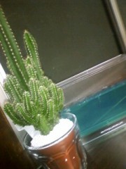 新しいお友達ｗ