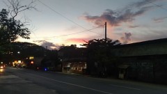 【お題日記】何度も見返してしまう動画