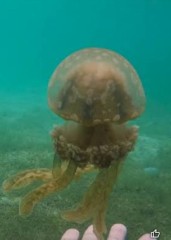 【お題日記】最近行った旅行は？