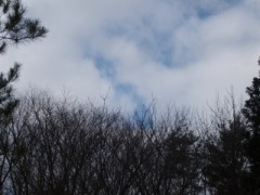 山ウォーキング