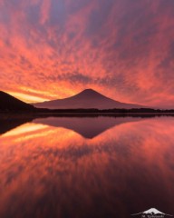 生きる理由、死ぬ理由！