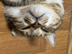 【お題日記】1人だと行きづらいところ