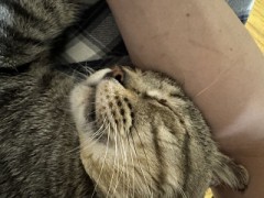 夜中1人でこっそり見るものは？