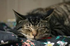 あなたの傍を離れない・・・