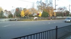 今日の一言(12 月1日)