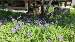 連休にお出かけされる方へ、宣伝