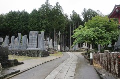 先月7月のことですが、連絡先交換しましょうとの女性からのお誘いを受け