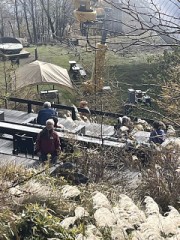 こころ優しい女性さん、お教えください