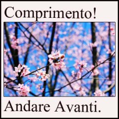 結果が出ました。