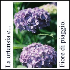 蒸し暑い・・・。