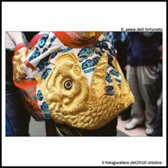 一枚の写真から