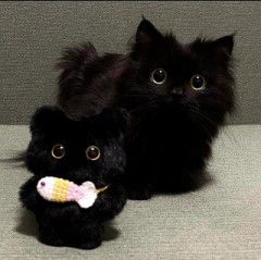 【お題日記】怪しい広告クリックした事ある？