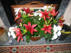 たまには画像でも(^o^)丿