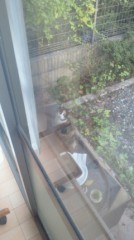 【お題日記】同窓会がキッカケの恋愛はアリ？