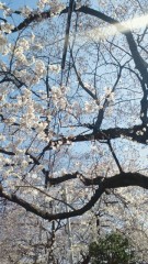 【お題日記】あなたの小さな幸せを教えて下さい