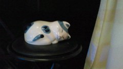 【お題日記】土用の丑の日！うなぎ食べますか？