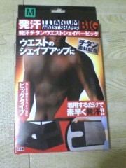 サウナベルト・・結局これになった