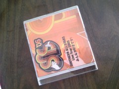 やっぱり完璧寝正月！