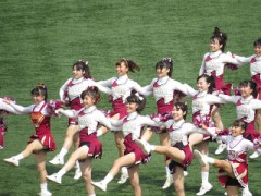 何でここまでバカなの？