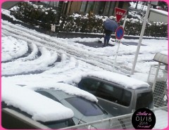 雪降っちゃいましたね