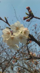 引っ越ししたけど。。。